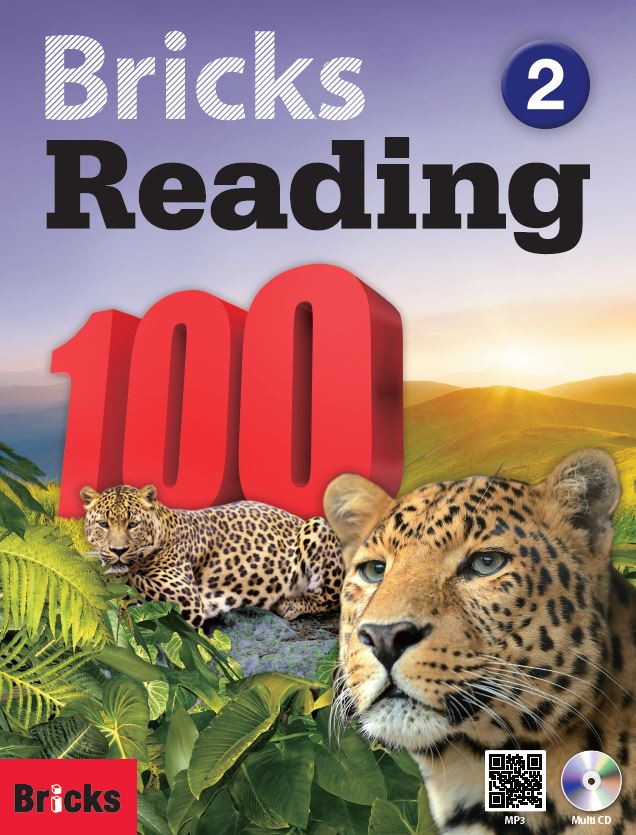 Bricks Reading 100 2