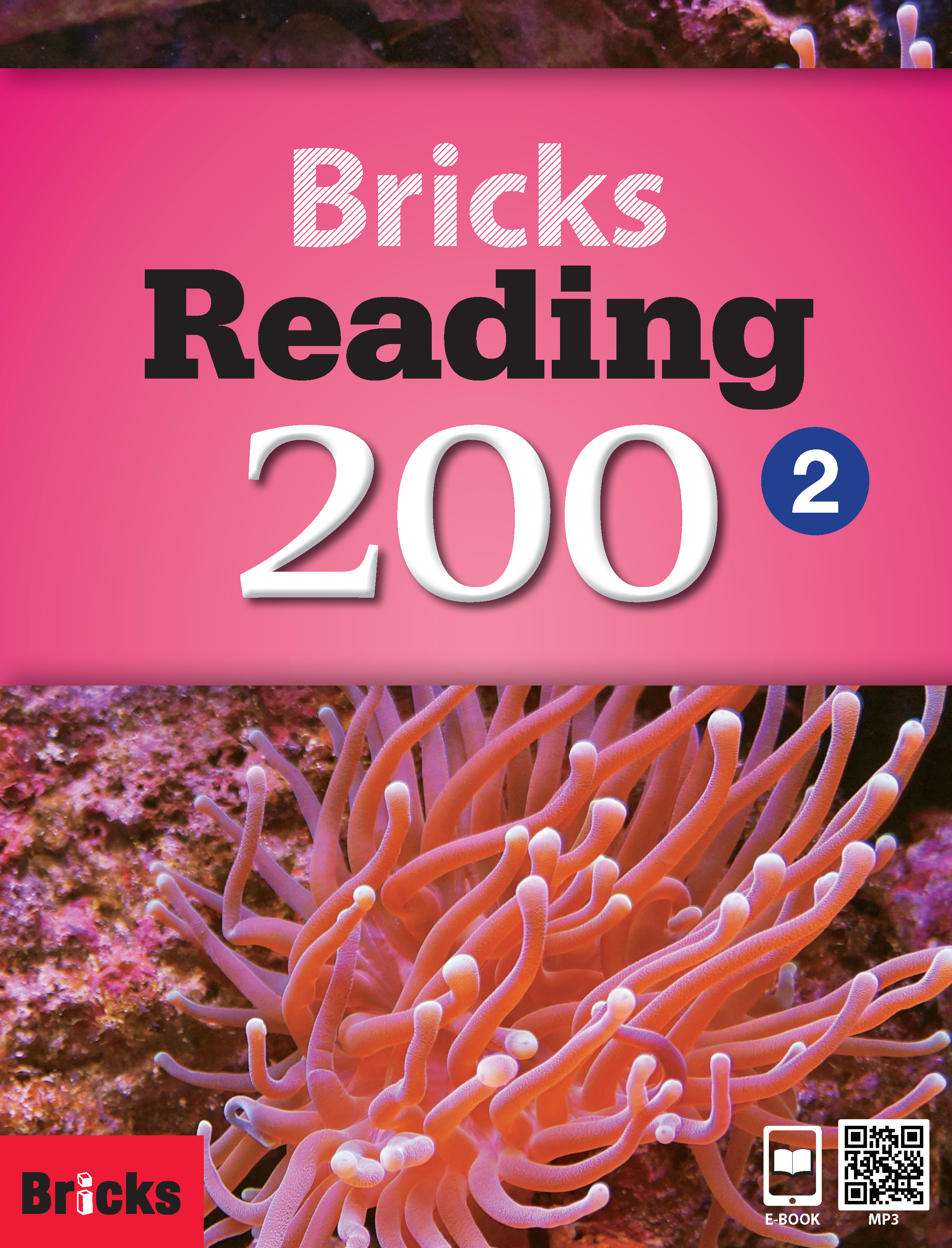 Bricks Reading 200 2