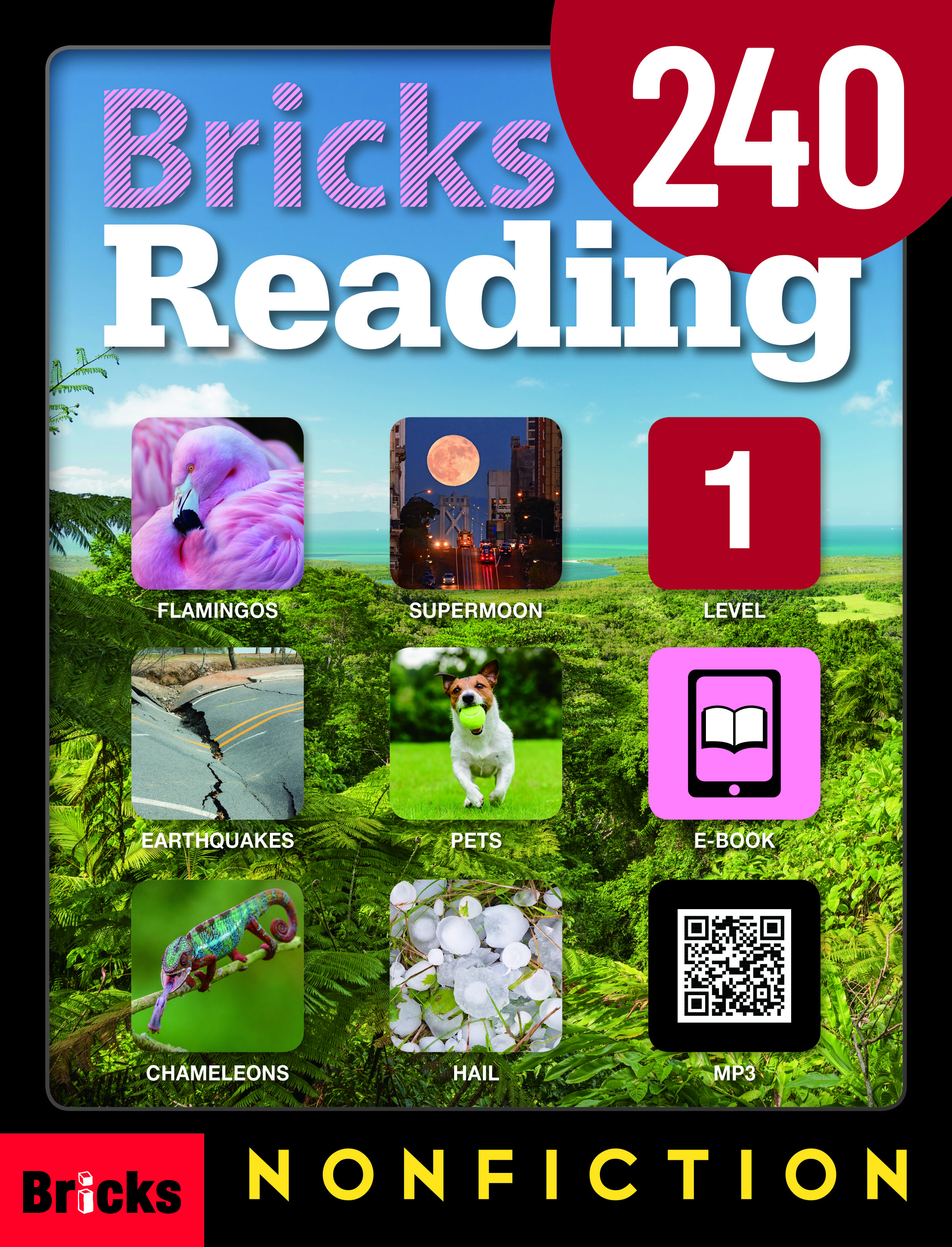 Bricks Reading 240 Nonfiction 1
